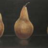 3 Bosc Pears